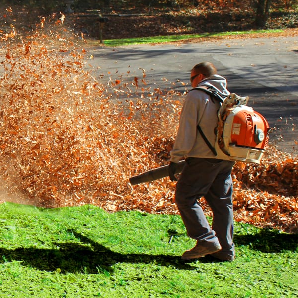 Leaf Removal in Owasso