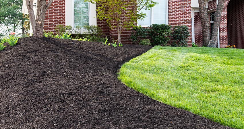 Mulching & Bed Care