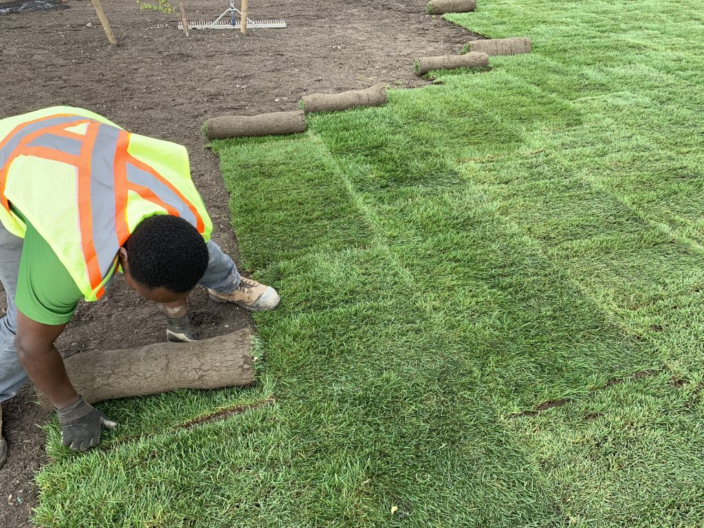 Sod Installation