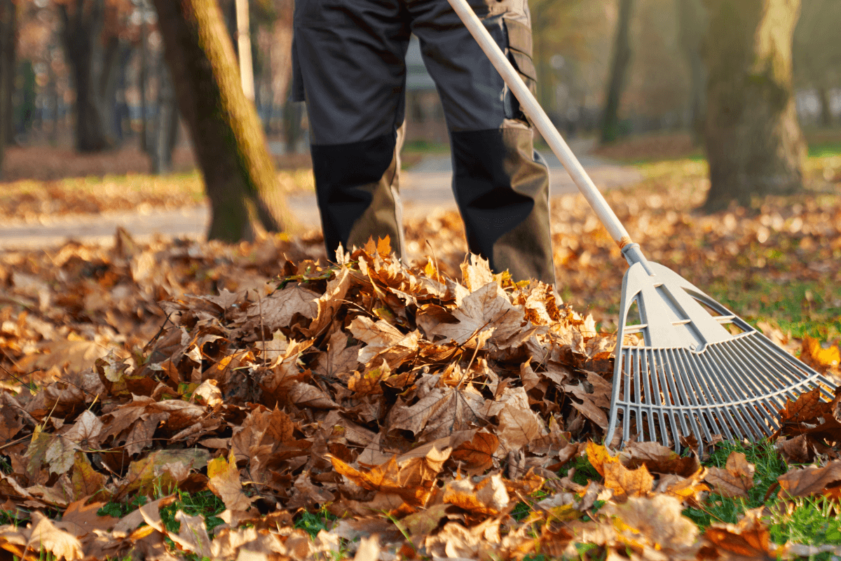 Landscaping services in Jenks
